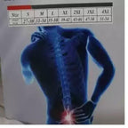 Premium Adjustable Back Posture Corrector Belt for Men & Women – Instant Back & Shoulder Pain Relief Brace